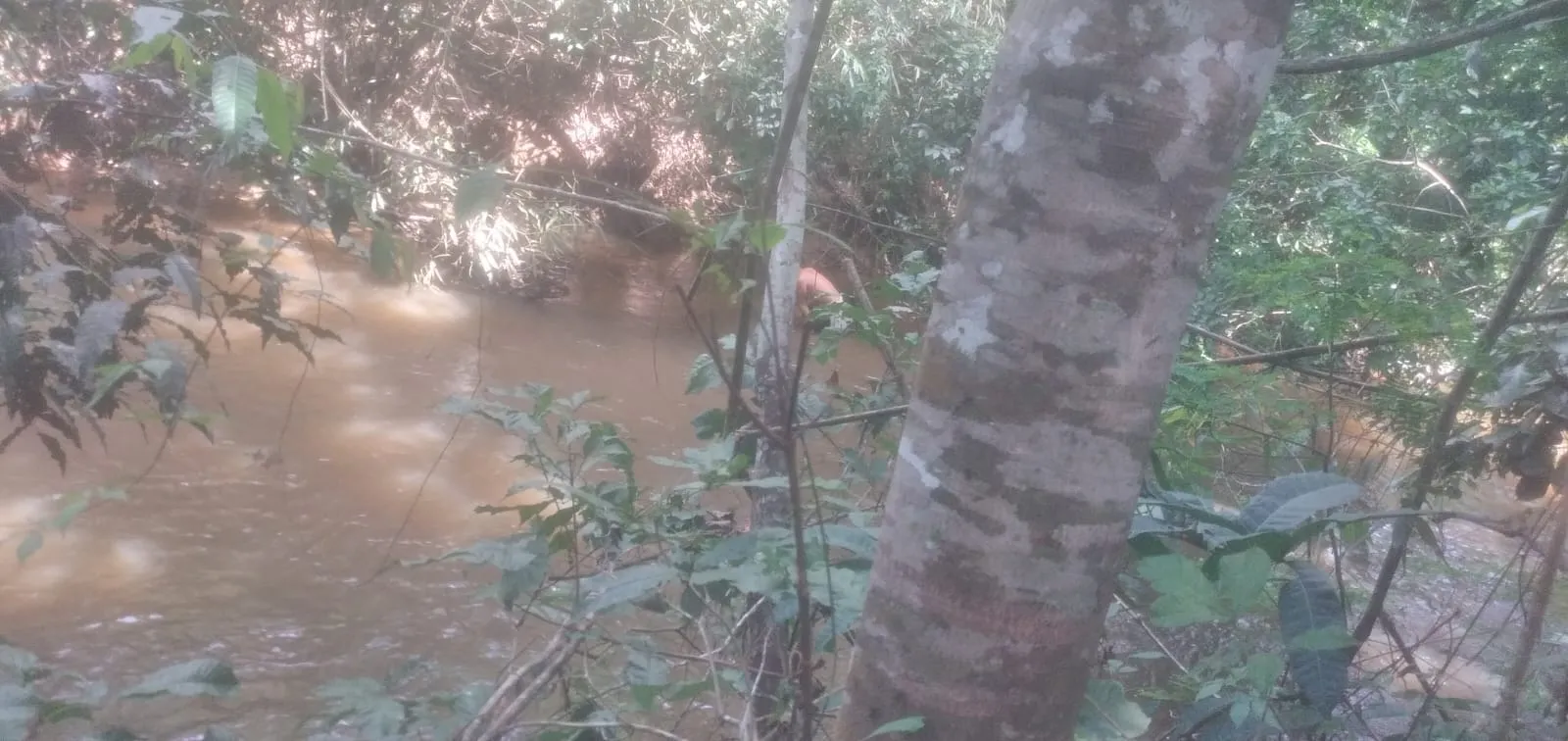 venta de terreno corredor turístico tambopata puerto maldonado - 14