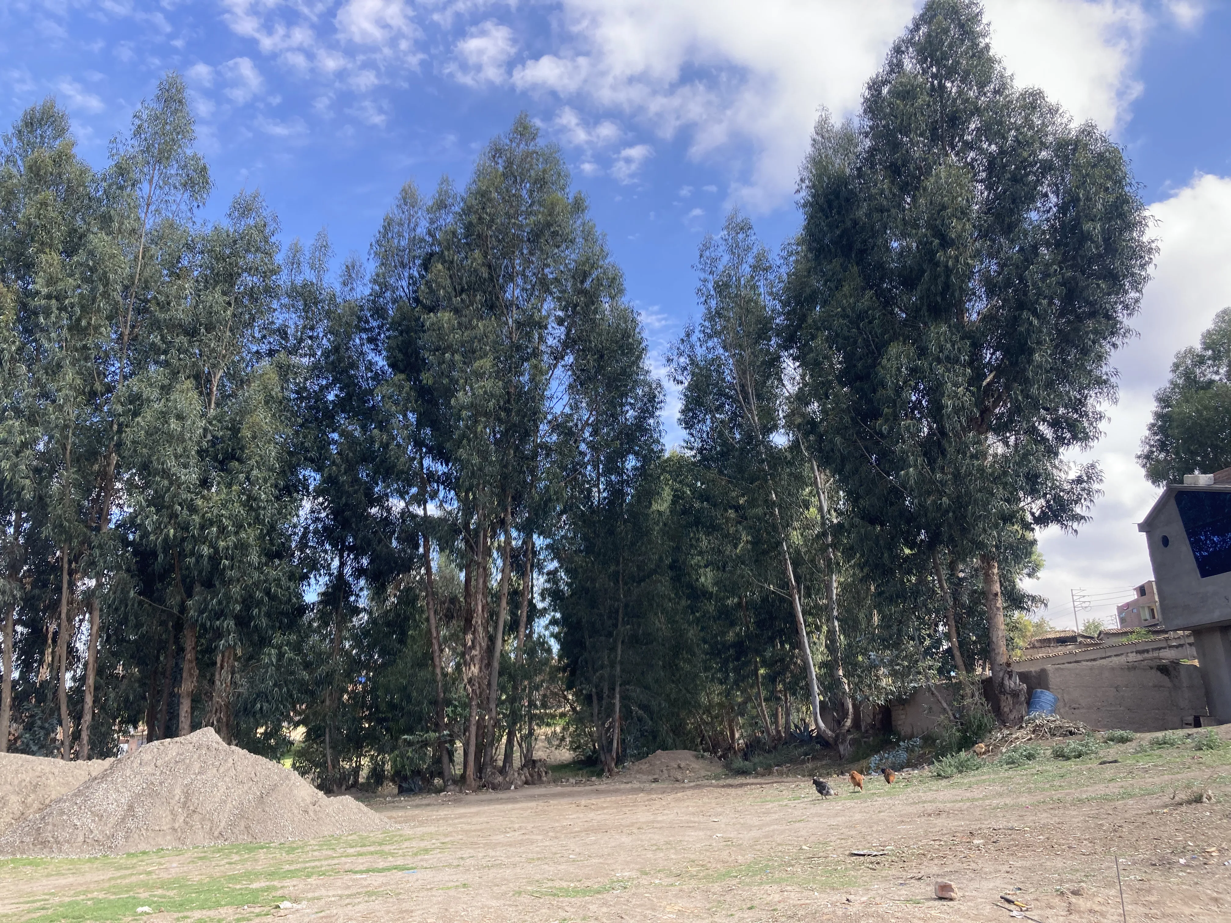 Venta de Terreno 198.92 m² en Huancán – Huancayo - 4