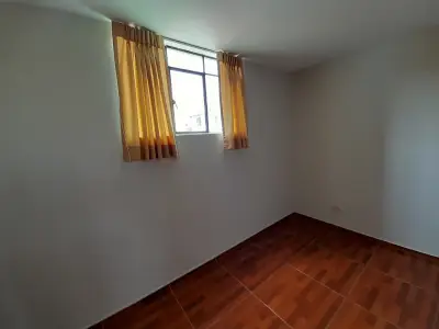 Miniatura 10