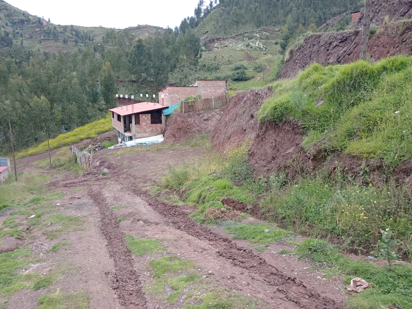 Se vende lote de 200m2 en APV Kinza Orqo - Puquin - 2