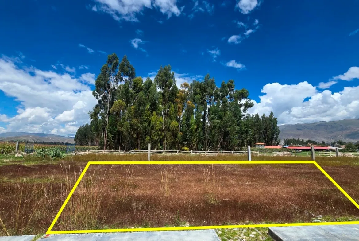 Se Vende Terreno 100 m2 en el Dist. 3 Diciembre cerca del Puente Comuneros I - 4