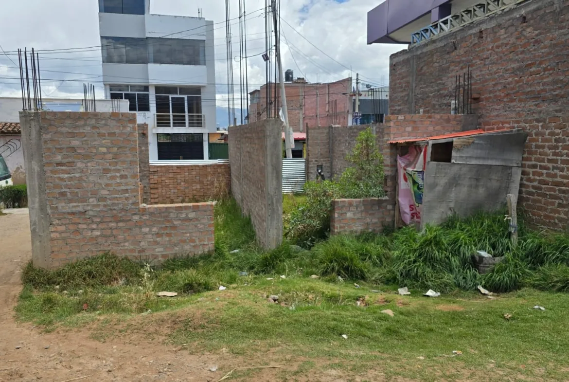 Se Vende Terreno 734 m2 Jr. Petrona Apolaya – Chupaca - 3