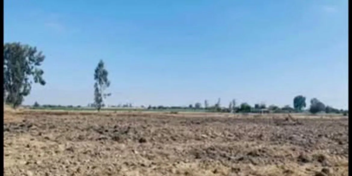 TERRENO AGRICOLA 6 HECTAREAS - CARRETERA LIBERTADORES PISCO - 3