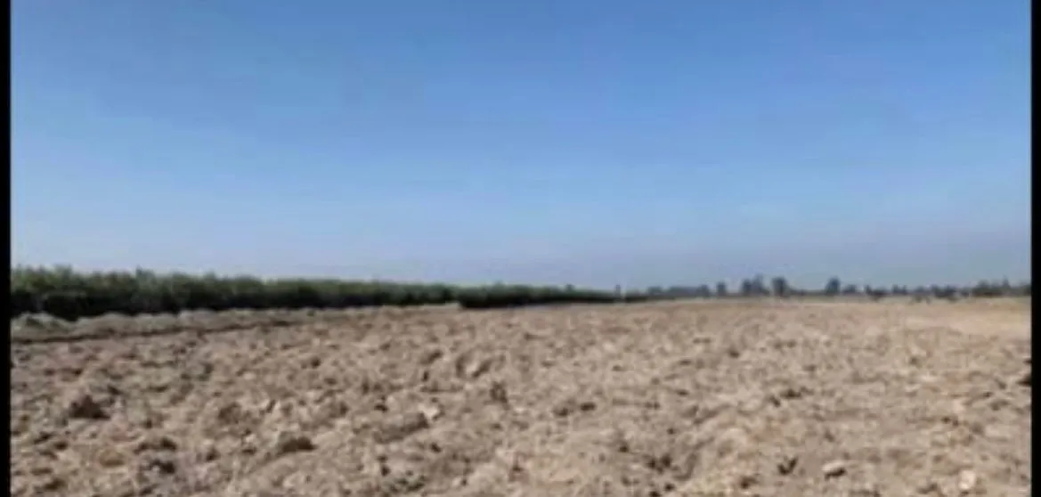 TERRENO AGRICOLA 6 HECTAREAS - CARRETERA LIBERTADORES PISCO - 2