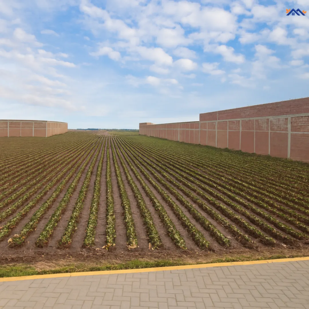 Terreno 5,500 m² en Moche – Trujillo | Inversión - 2