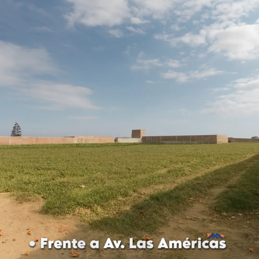 Terreno 5,500 m² en Moche – Trujillo | Inversión - 3