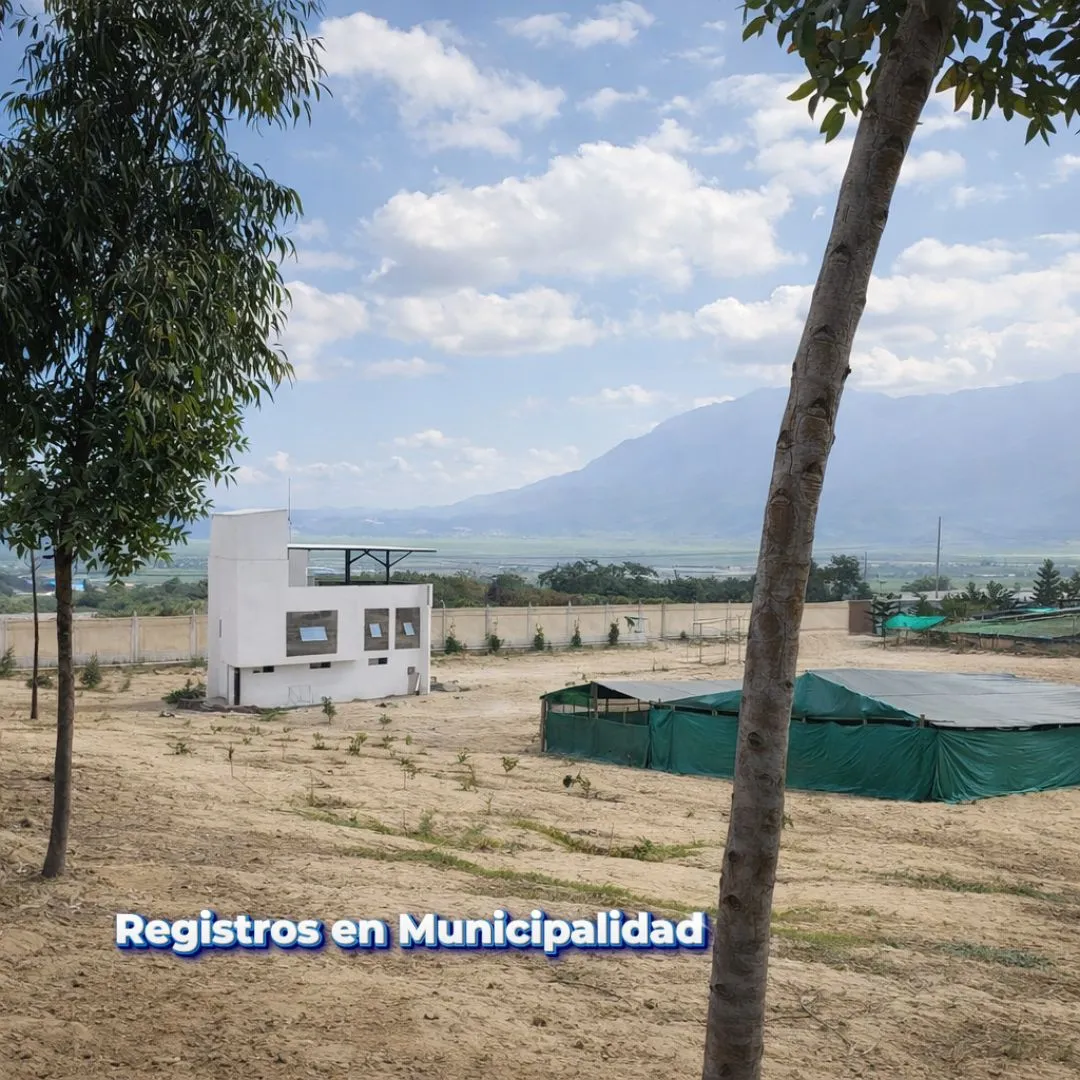5 Y 15 HECTÁREAS EN VENTA – LAREDO, TRUJILLO - 3