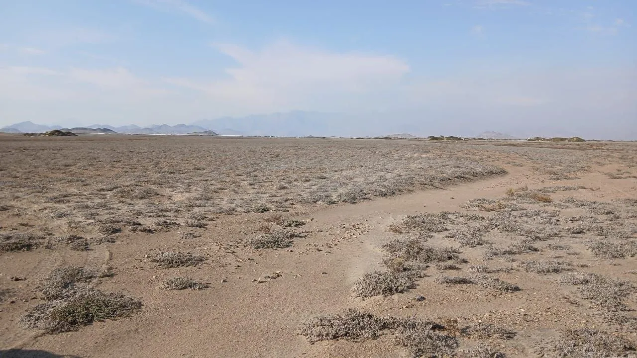 TERRENO 30 HECTÁREAS EN VENTA – PAIJÁN - 7