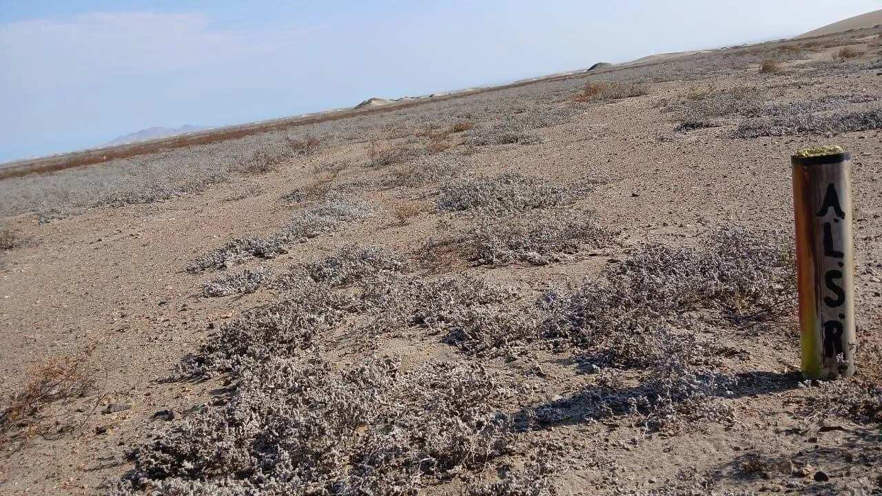 TERRENO 30 HECTÁREAS EN VENTA – PAIJÁN - 4