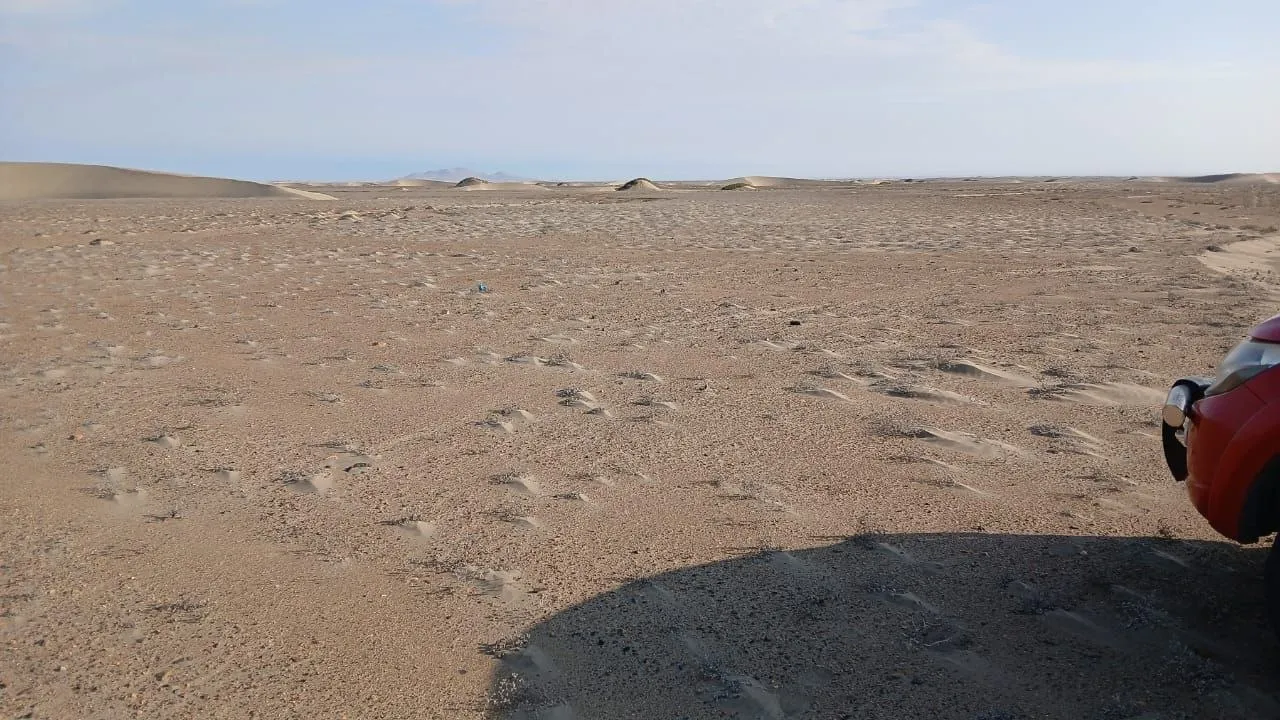 TERRENO 30 HECTÁREAS EN VENTA – PAIJÁN - 5