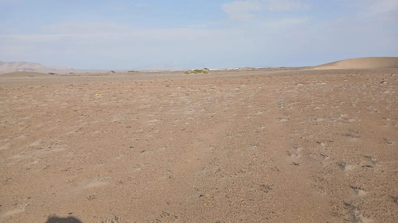 TERRENO 30 HECTÁREAS EN VENTA – PAIJÁN - 6