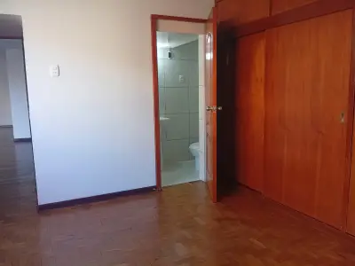 Miniatura 10