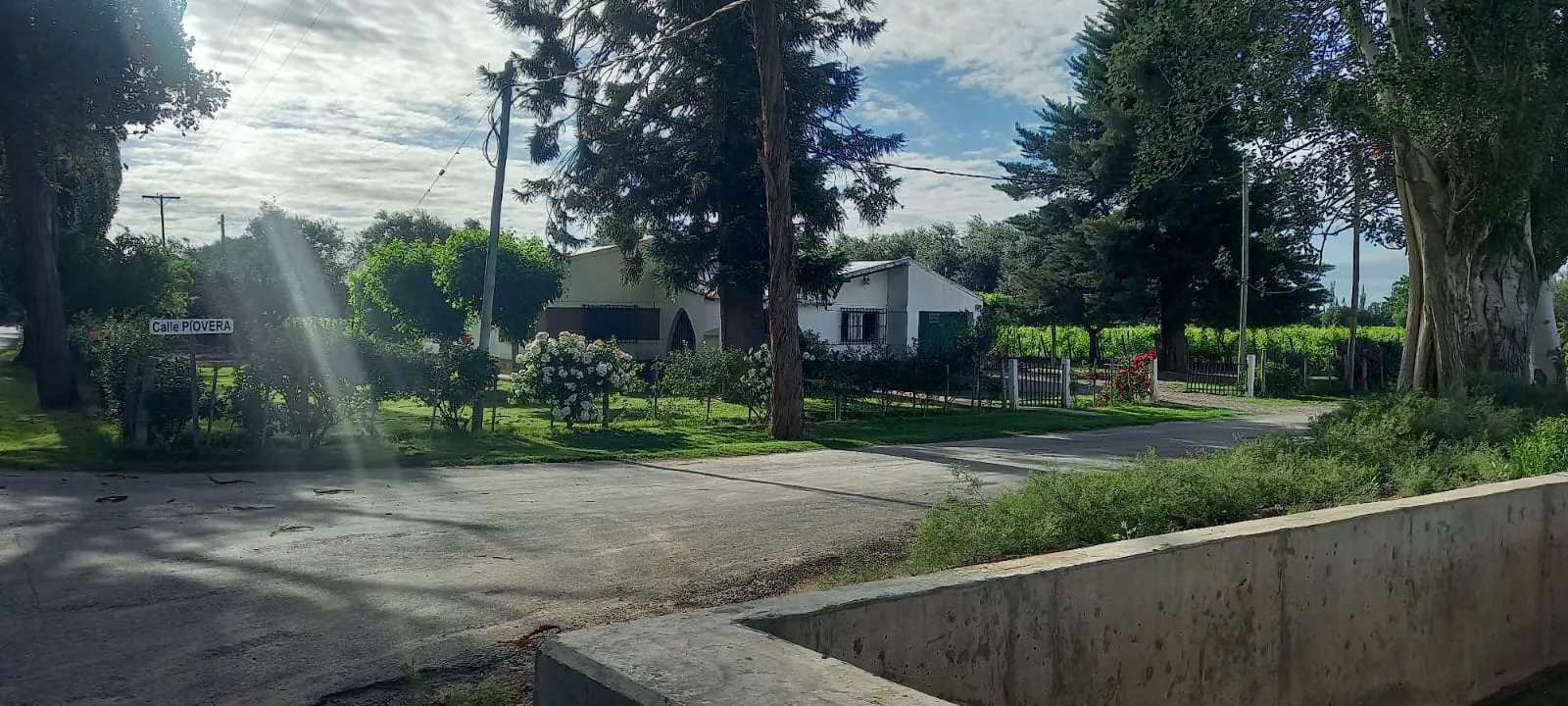FINCA VIÑEDOS MENDOZA ARGENTINA - 1