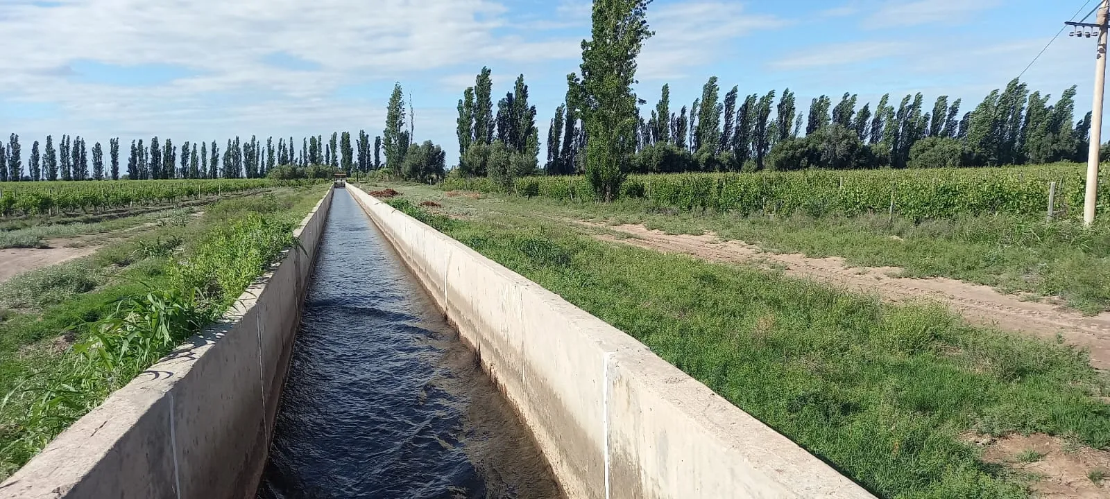 FINCA VIÑEDOS MENDOZA ARGENTINA - 12