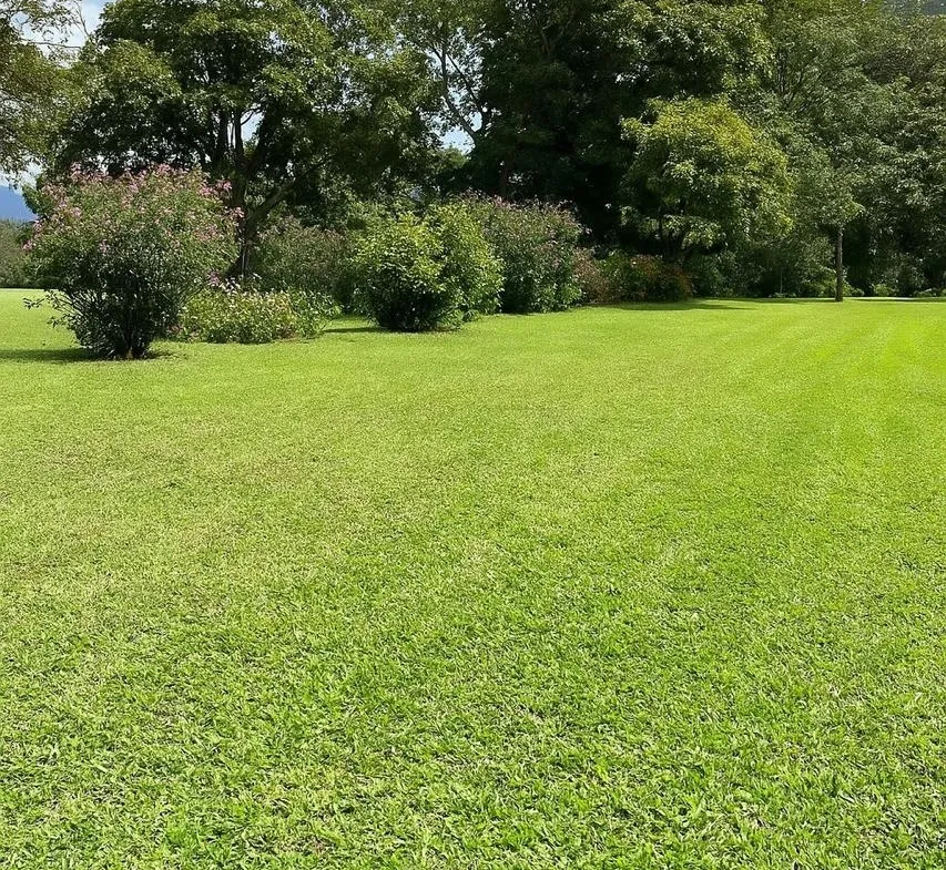 Se Vende Terreno en Condominio Privado Alpental – La Mejor Zona Residencial de Oxapampa - 4
