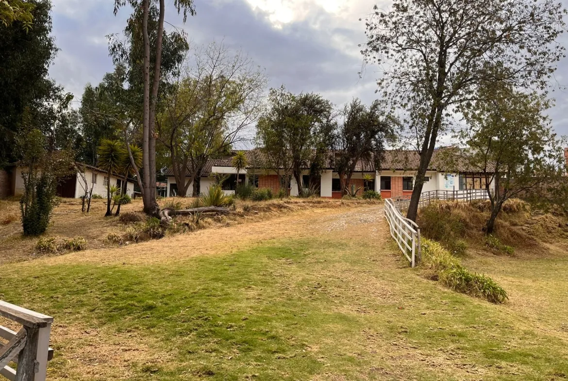 Se Alquila Terreno de 4,461 m2 con Tres Frontis frente a la Universidad UPLA - 3