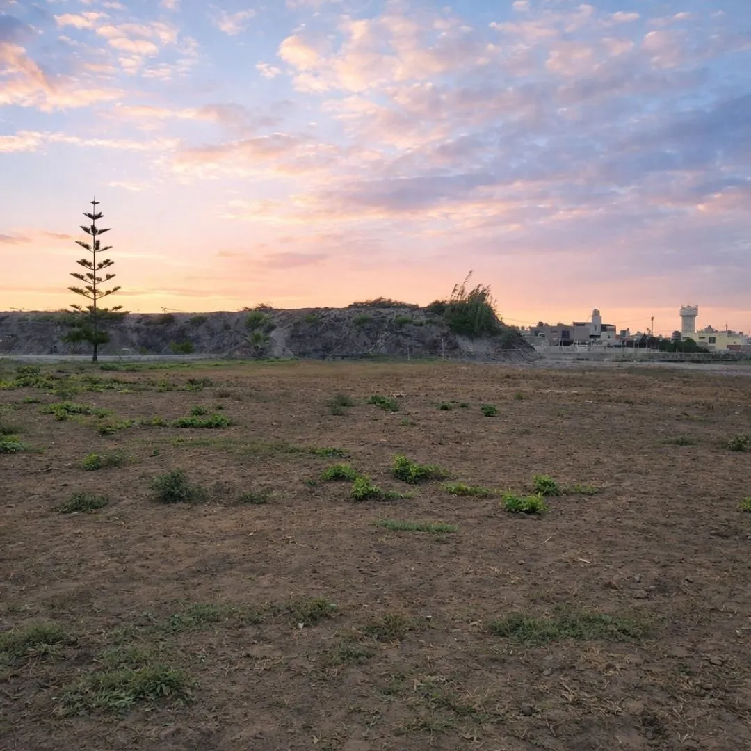 TERRENO 11,400 m² EN VENTA – MOCHE, LAS DELICIAS - 3