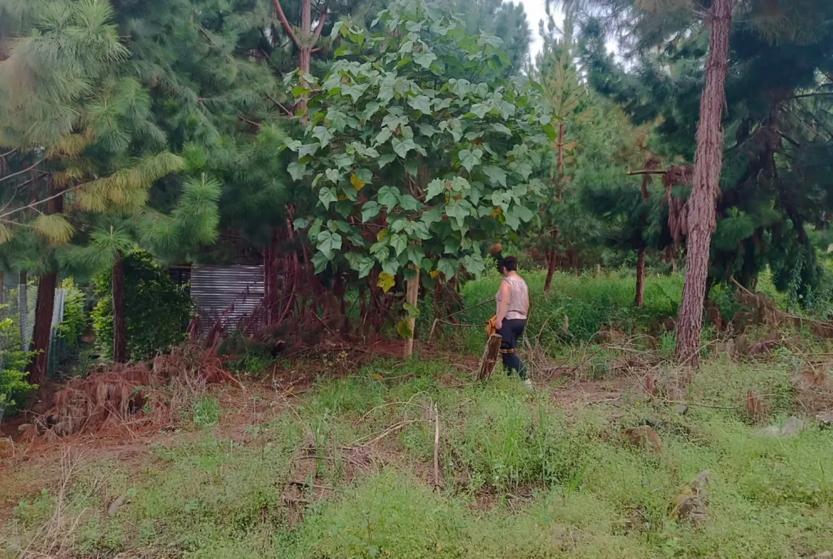 Se Vende Terreno de 315 m2 en el Paraíso Natural de Oxapampa rodeado de naturaleza - 4