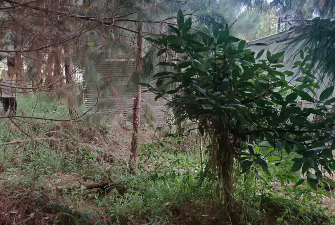 Se Vende Terreno de 315 m2 en el Paraíso Natural de Oxapampa rodeado de naturaleza - 8
