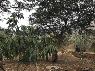 Se vende Hermosa Casa de Campo estilo colonial en Santa María del Valle- Huánuco - 16