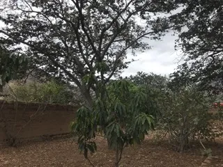 Se vende Hermosa Casa de Campo estilo colonial en Santa María del Valle- Huánuco - 17