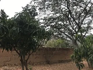 Se vende Hermosa Casa de Campo estilo colonial en Santa María del Valle- Huánuco - 18