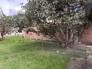 Se vende una casita de campo con huerta, como terreno en Andabamba- Huánuco - 4