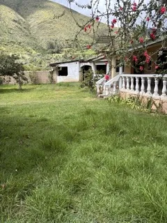 Se vende una casita de campo con huerta, como terreno en Andabamba- Huánuco - 18