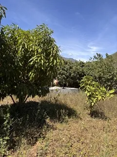 Se Vende una Hermosa y nueva casa de campo en Santa Ragra- Huánuco, Las Pampas - 10
