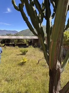 Se Vende una Hermosa y nueva casa de campo en Santa Ragra- Huánuco, Las Pampas - 8