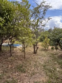 Se Vende una Hermosa y nueva casa de campo en Santa Ragra- Huánuco, Las Pampas - 3