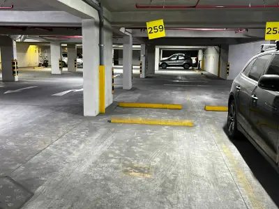 Miniatura 9