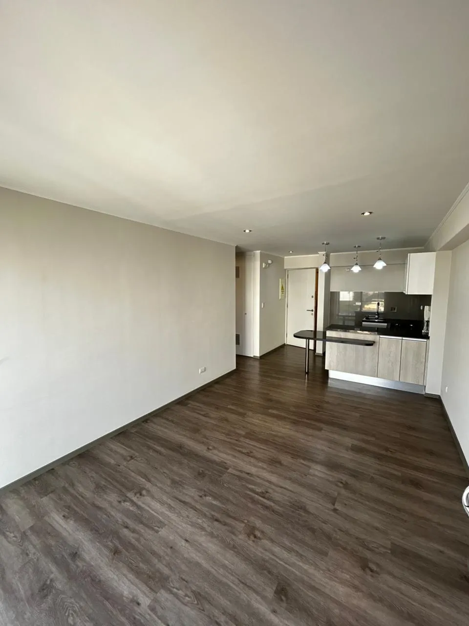 Departamento 1 Dorm (A 2 Cdras de San Isidro Empresarial) — foto 3