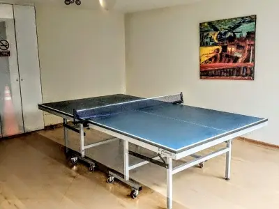 Miniatura 9