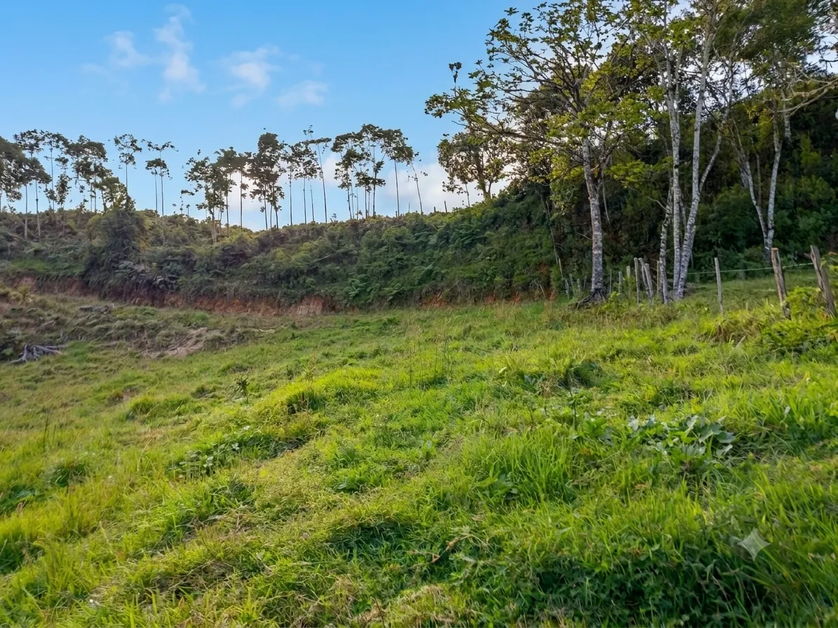 Se Vende Terreno de 9380m2 en Oxapampa - 4