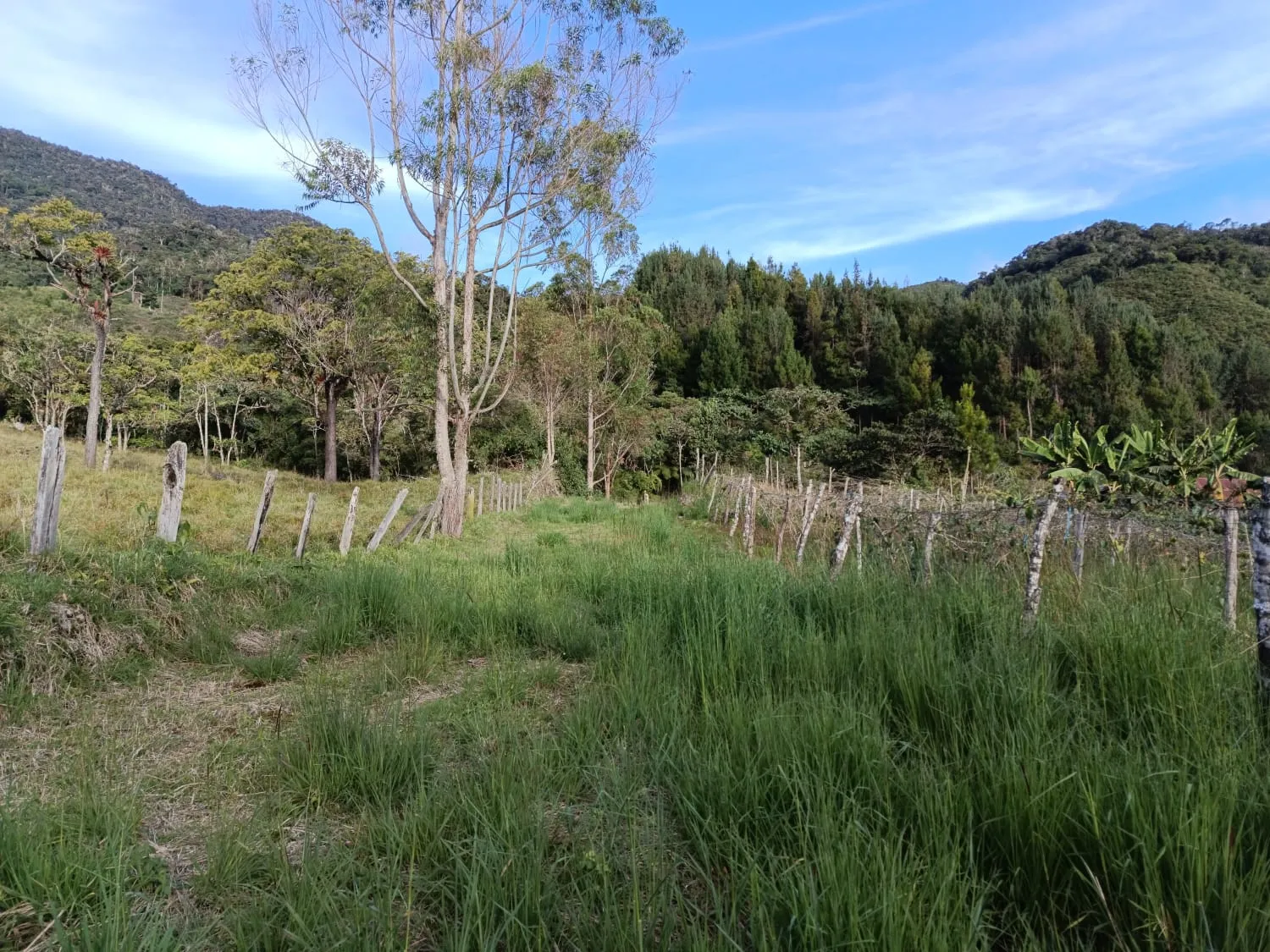 Se Vende Terreno de 9380m2 en Oxapampa - 7