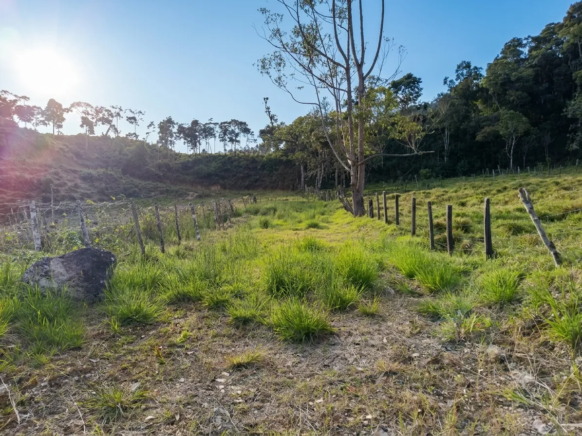 Se Vende Terreno de 9380m2 en Oxapampa - 5