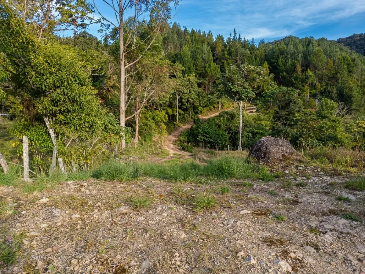 Se Vende Terreno de 9380m2 en Oxapampa - 1