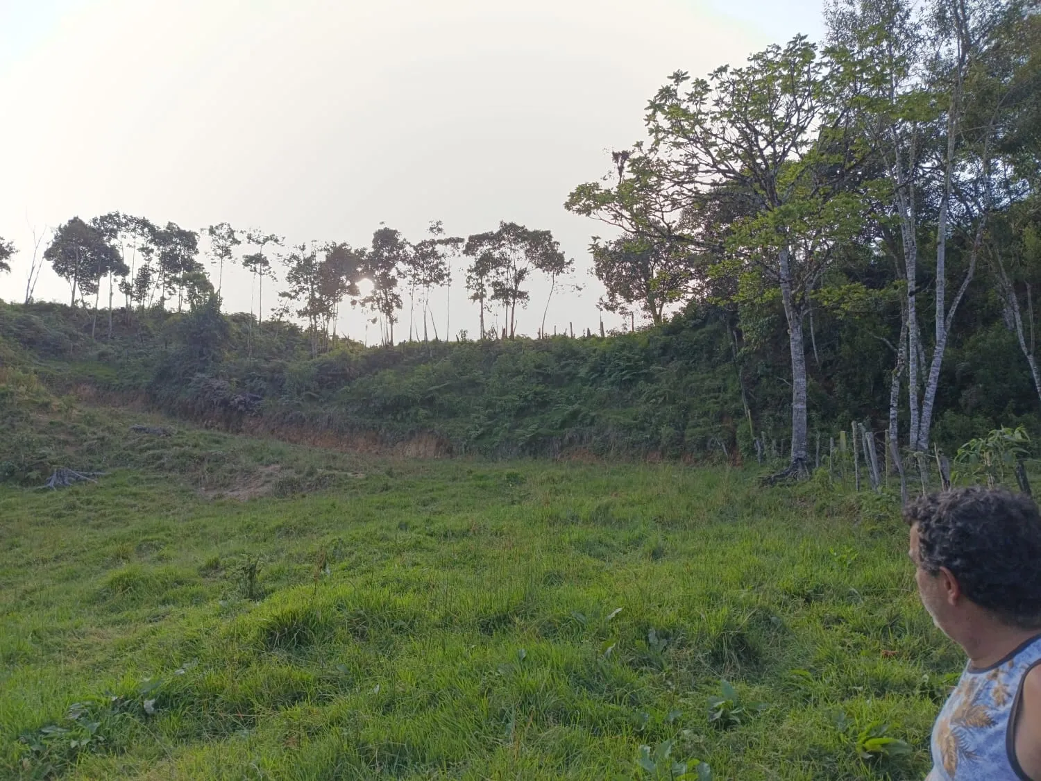 Se Vende Terreno de 9380m2 en Oxapampa - 2
