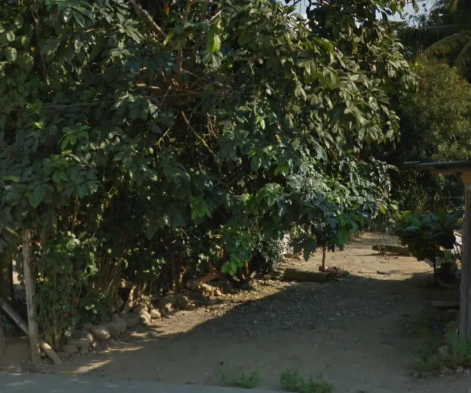 SE VENDE UN TERRENO EN BUENA ZONA URBANA DE SATIPO - 2