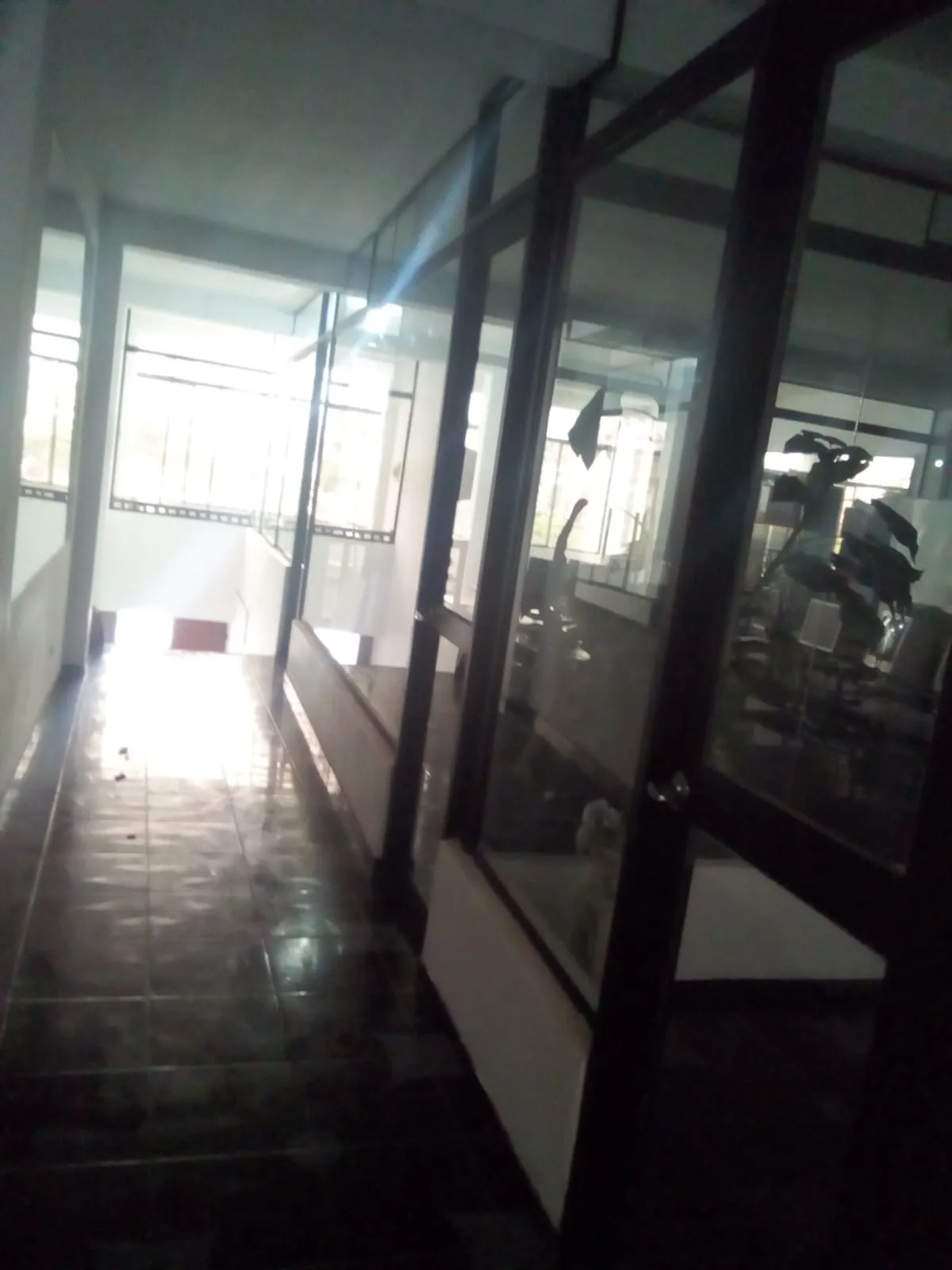 ALQUILER DE LOCAL COMERCIAL E INSTITUCIONAL - 8