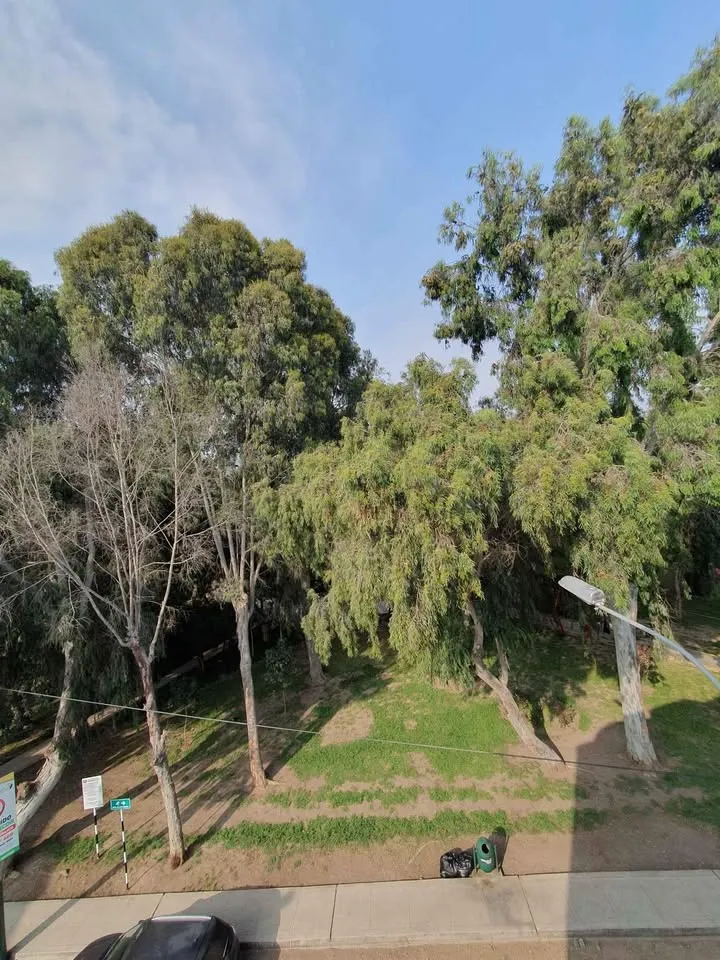 ALQUILO departamento 45m2 en Surquillo Limite con San Isidro Pet Friendly - 10
