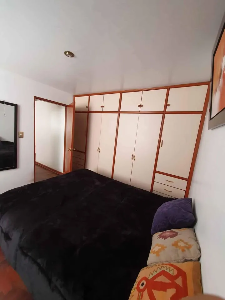 ALQUILO departamento 45m2 en Surquillo Limite con San Isidro Pet Friendly - 5