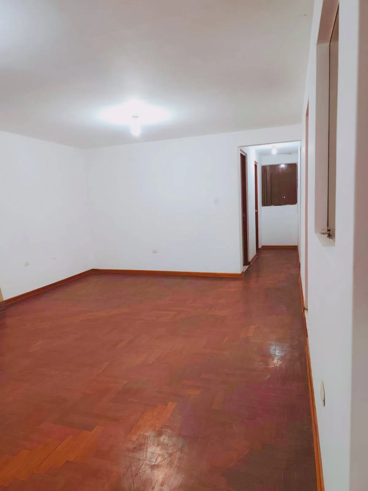 HERMOSO DEPARTAMENTO SMP - 3