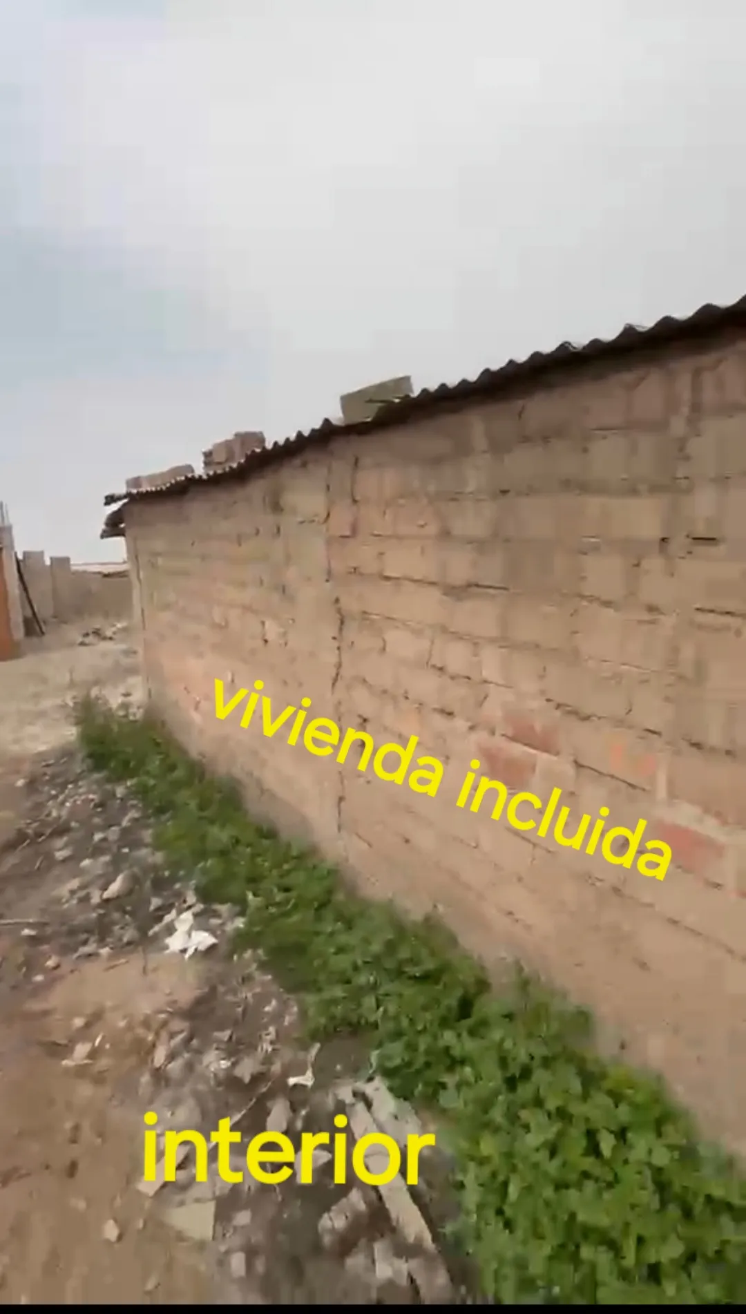 VENTA DIRECTA 8 LOTES TERRENO inc. Vivienda en Urb. San Benito,4a Etapa,Carabayllo, Lima - 3