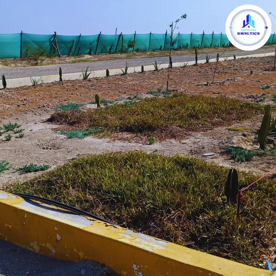 TERRENO EN LAMBAYEQUE  160,000M2 🏭 MACROLOTE LOGÍSTICO E INDUSTRIAL PANAMERICANA NORTE - 4