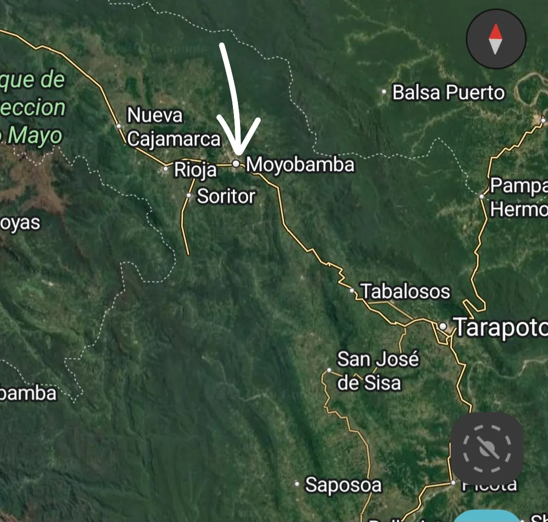 Trato DIRECTO: SE REMATA CASA 2 PISOS: OPORTUNA INVERSIÓN EN MOYOBAMBA,TODOS PAPELES OK - 4
