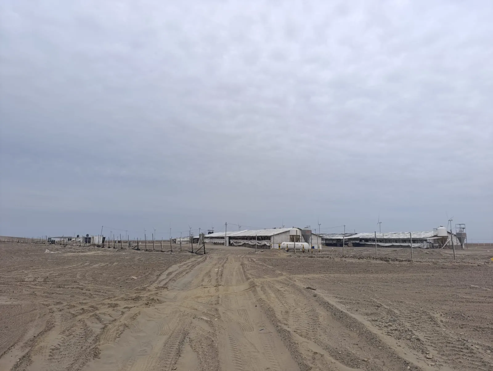 Terreno Agricola en La Arenita-Mocan - 5