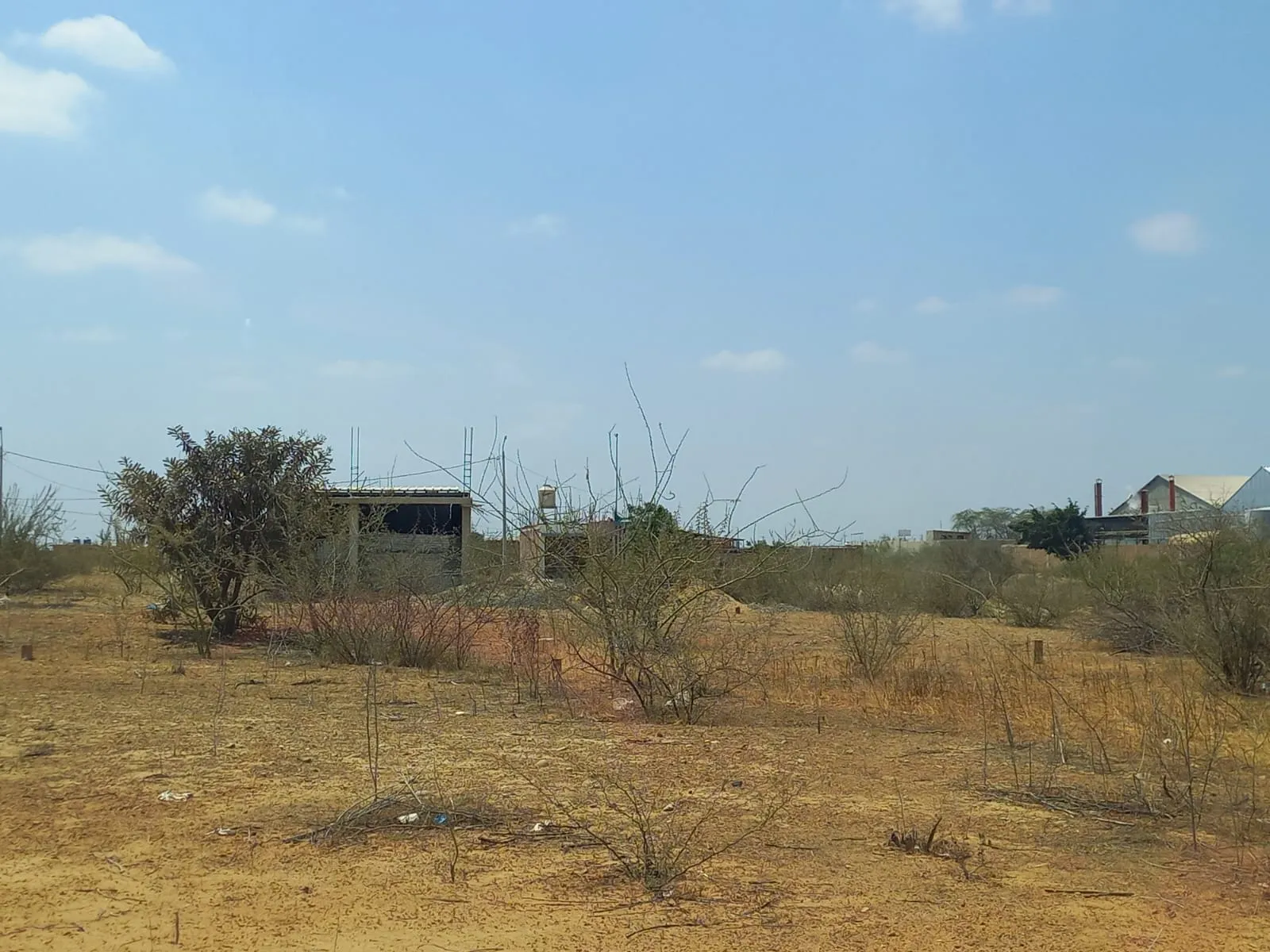 Vendo Terreno 360 m² en ADUS Sullana – 18 m de frente salida directa a la Panamericana - 6