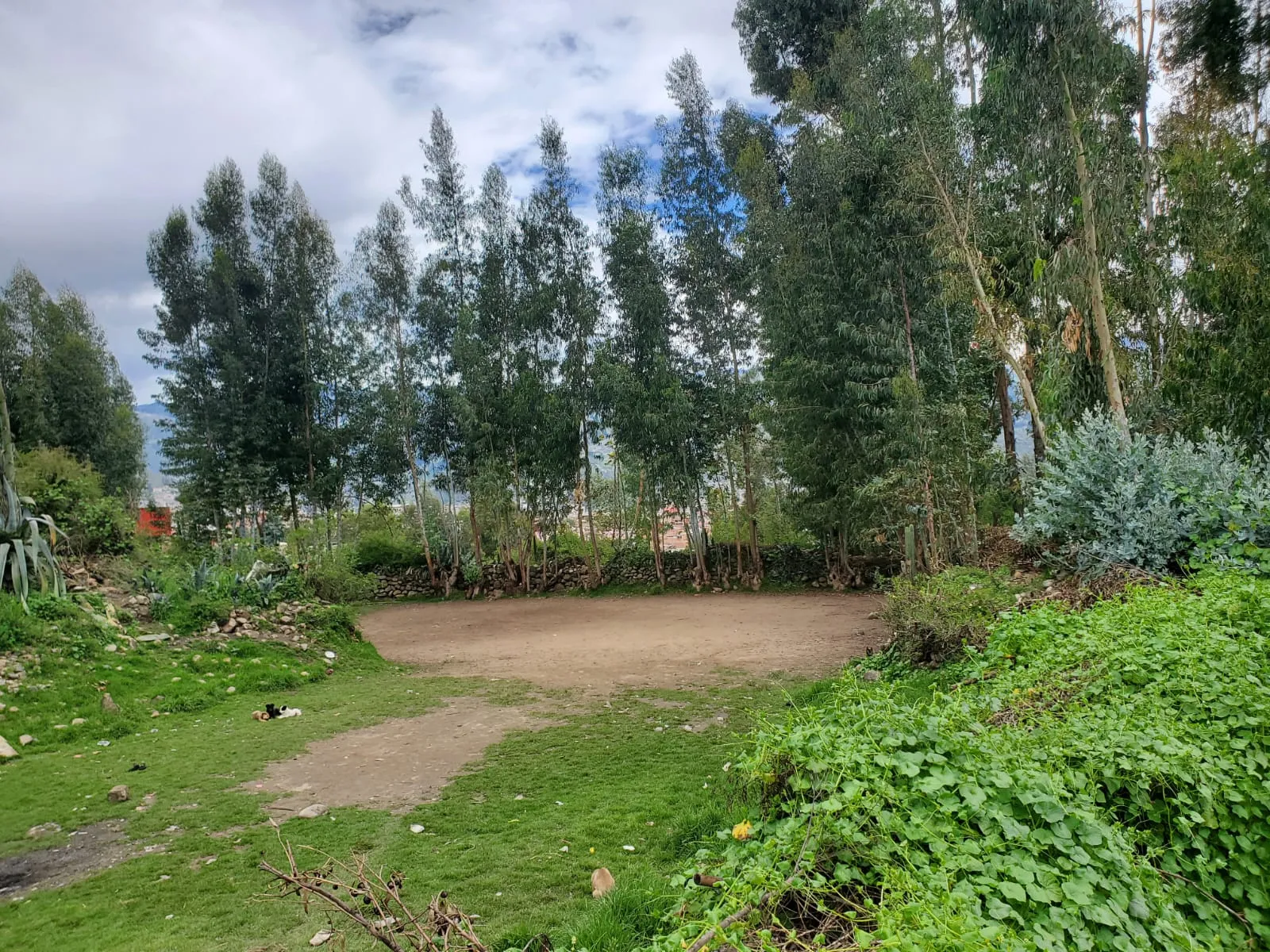 TERRENO URBANO-HUARAZ - 2